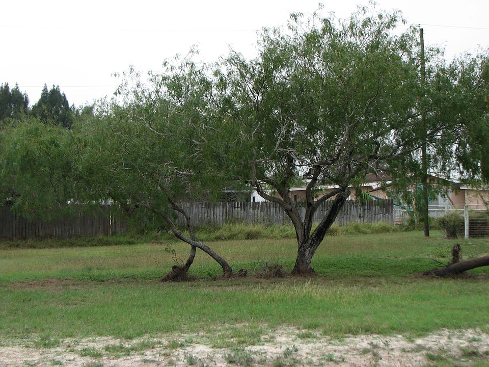 Vacant Lot 75'X130'