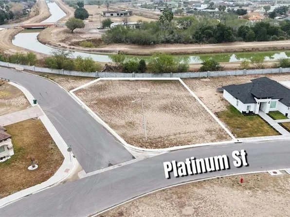 1105 Platinum St, Palmview, TX 78572