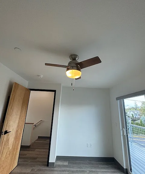 beautiful ceiling fan