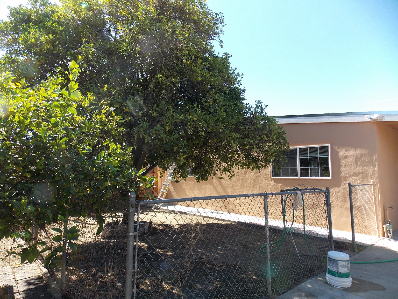3 bed, 985 sqft, $4,300 — Photo 2