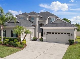 3142 Stonegate Falls Dr, Land O Lakes, FL 34638