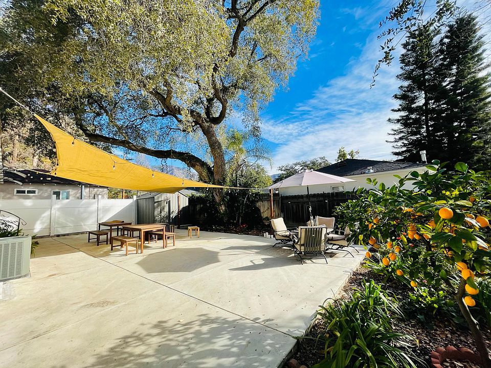 big backyard with fruit trees