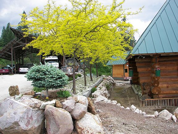 landscape looking west