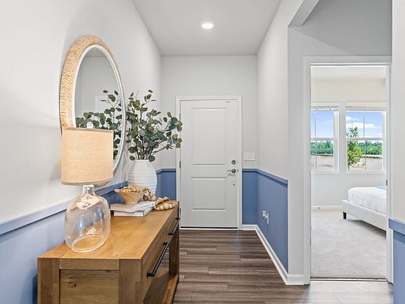 Welcome to the Ibis!