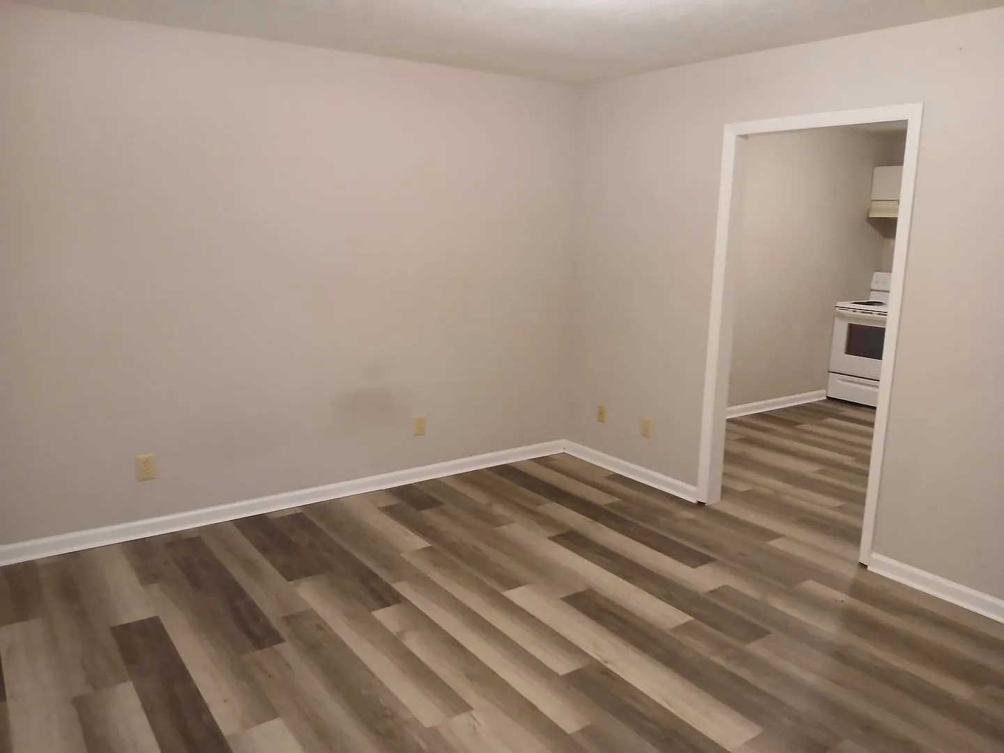 186 Dosser Lane Johnson City, TN 37601 — Photo 3