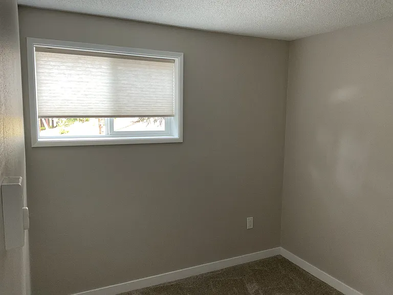 Window looks out to trees and side of house