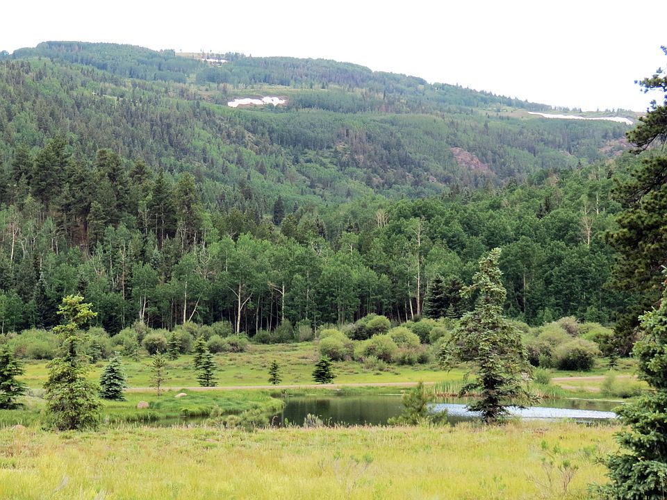 1st image of 62 River Run Dr