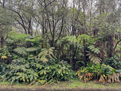 11-3820 5th St, Volcano, HI, 96785