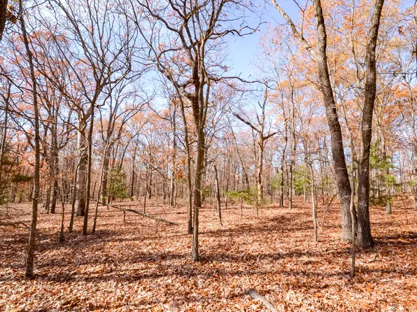 001 S Highway Aa #South Tract, Stockton, MO 65785