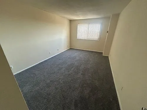 9727 Mount Pisgah Rd — Photo 135