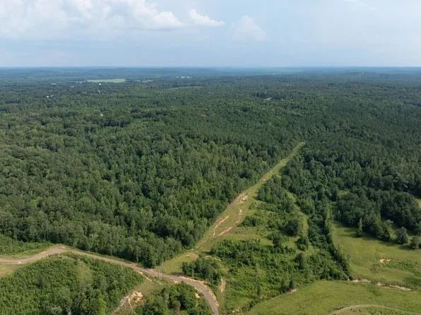 0 Wilkerson Rd, Fayette, AL 35555