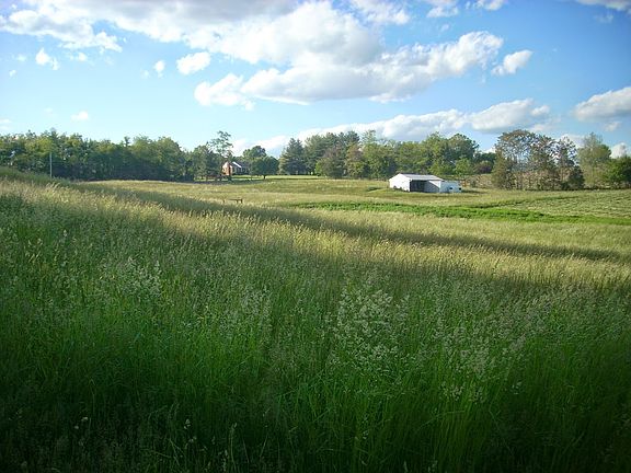 View from southern fenceline