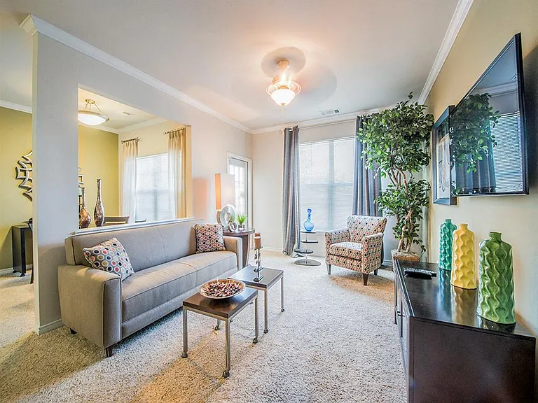 Mission at La Villita Apartments — Photo 8