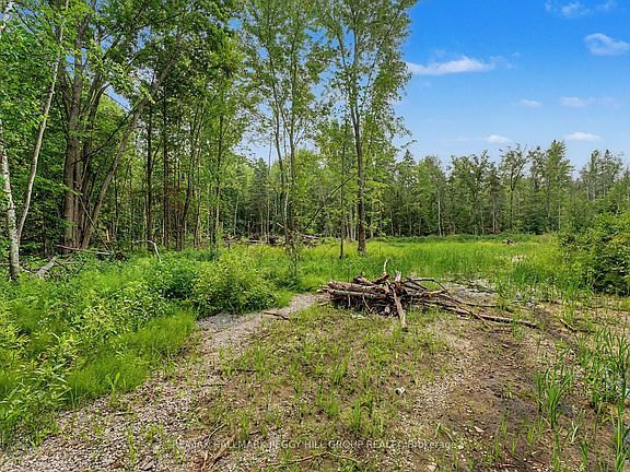 4th image of 6905 County Road 21