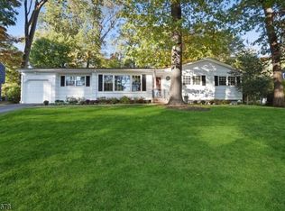26 Misty Mountain Rd, Randolph, NJ 07869