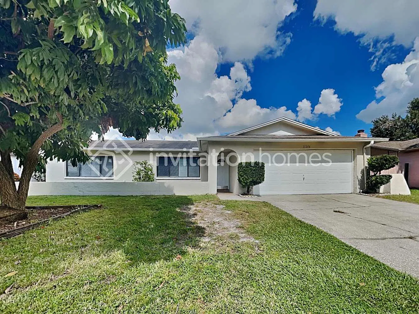 11206 Wheeling Dr Tampa, FL 33625 — Photo 1