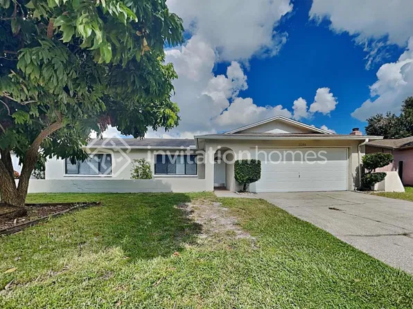 11206 Wheeling Dr, Tampa, FL 33625