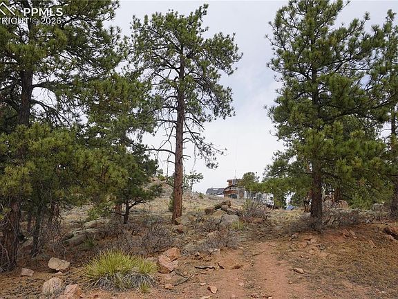 5th image of 1893 Arapahoe Dr