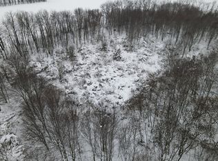 3982 E Bricker Rd, Fenwick, MI 48834