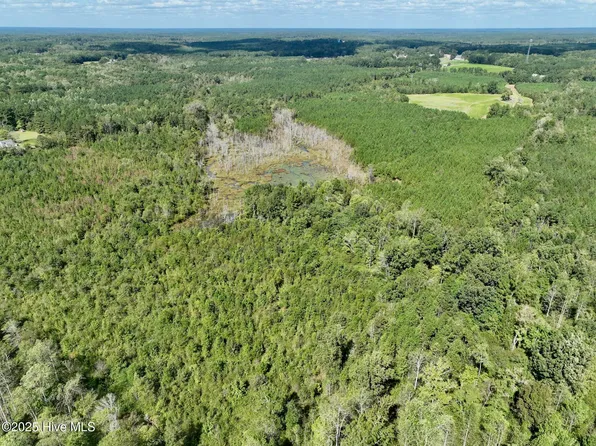 0 Qualls Road, Hollister, NC 27844