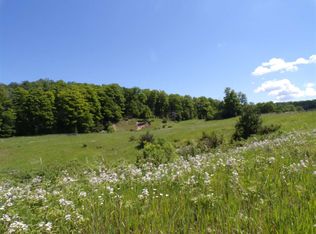 9729 E Mitchell Rd, Petoskey, MI 49770