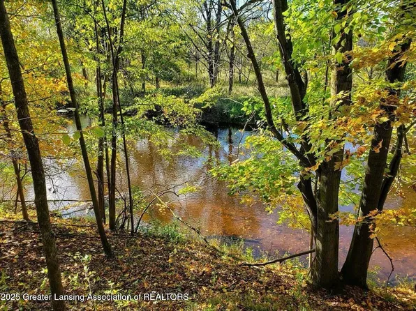 0 Chicory Ln, Portland, MI 48875