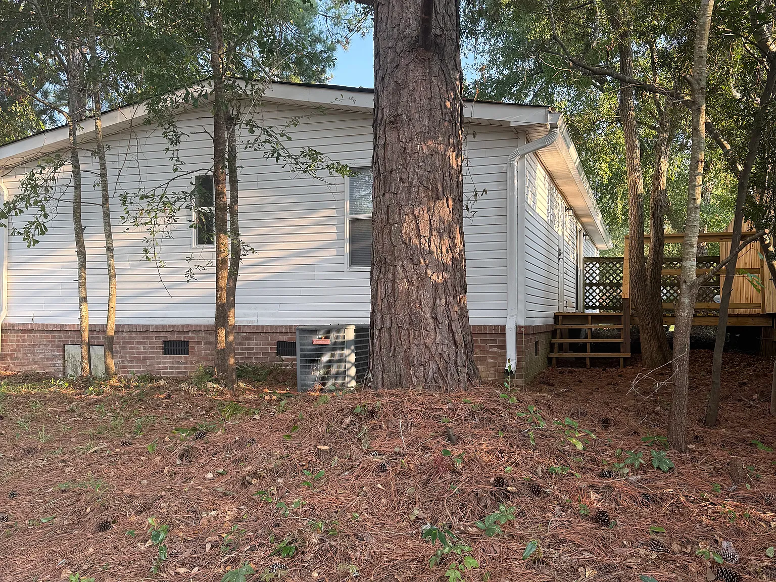 3 bed, 1500 sqft, $1,500 — Photo 2
