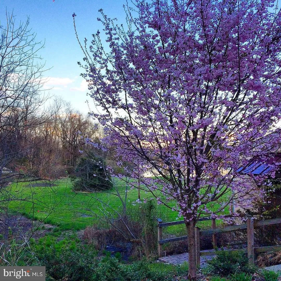 1 bed, 974 sqft, $1,995 — Photo 3