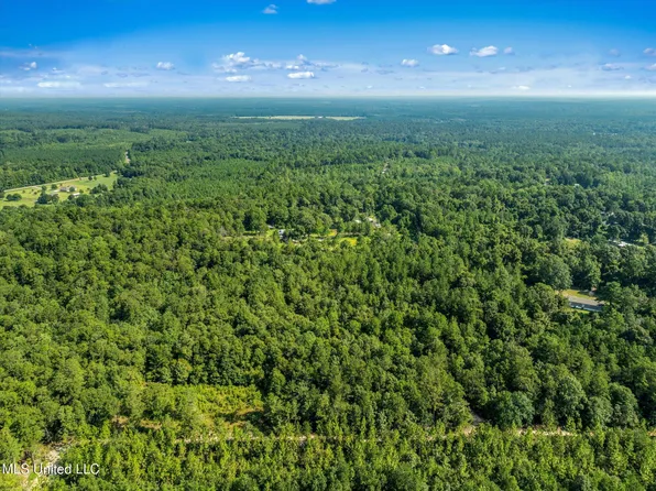 Forest Lake Rd, Beaumont, MS 39423