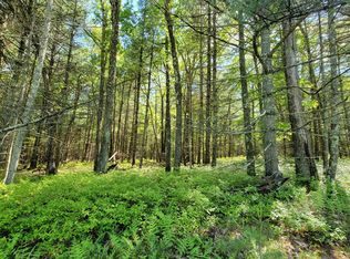 4 Steges Rd, Eldred, NY 12732