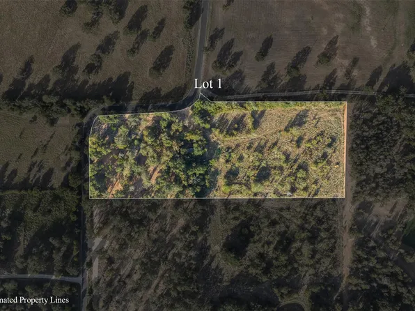 LOT 1 County Road 491, Elgin, TX 78621