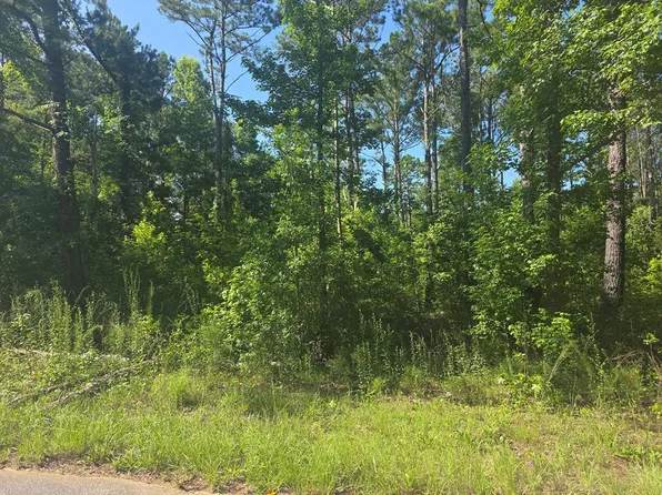 442 Winding Way Blvd, Georgetown, GA 39854