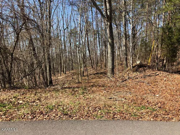 Skyline Ln, Powell, TN 37849