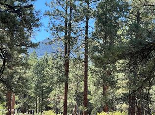 0 Forest Road St #193, Flagstaff, AZ 86001