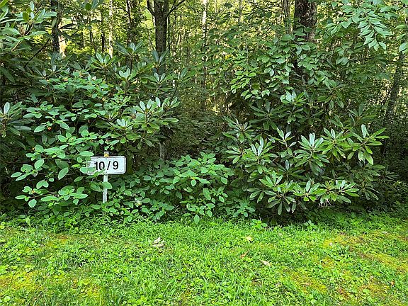 2nd image of 9 Old Forester Trail