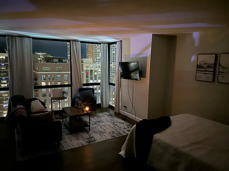 1122 N Clark St #3307 — Photo 7