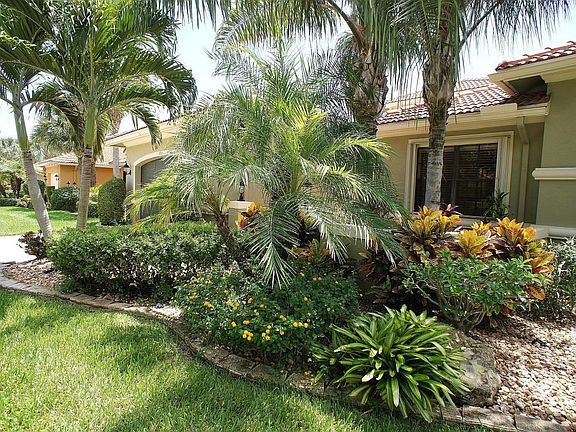 Tropical Landscape