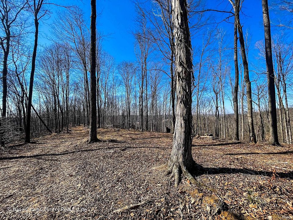 2nd image of N Starr Rd