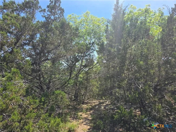 Cliff Dr, Spring Branch, TX 78070