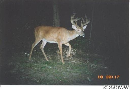 2nd image of 0 720th Avenue