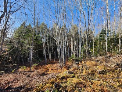 37 Trout Brook Lane, Searsport, ME, 04974