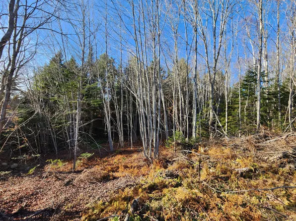 37 Trout Brook Lane, Searsport, ME 04974