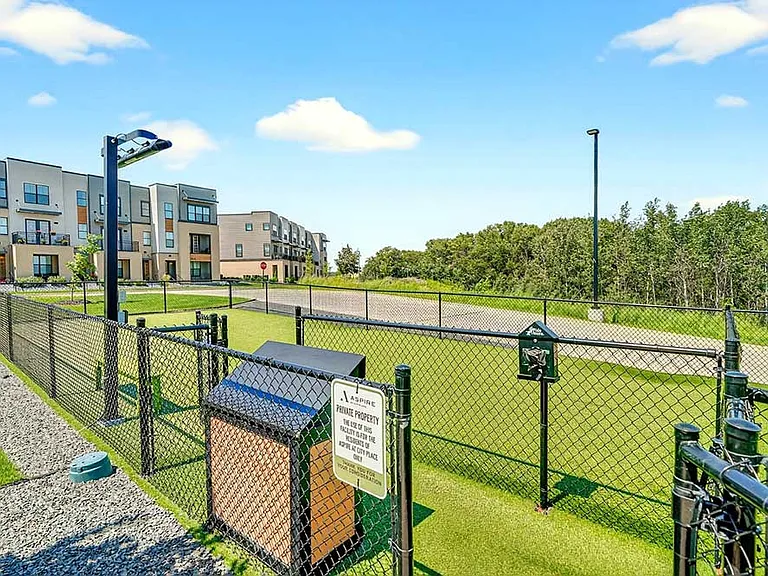 Secure outdoor dog runs give pets room to play freely while staying close to home.