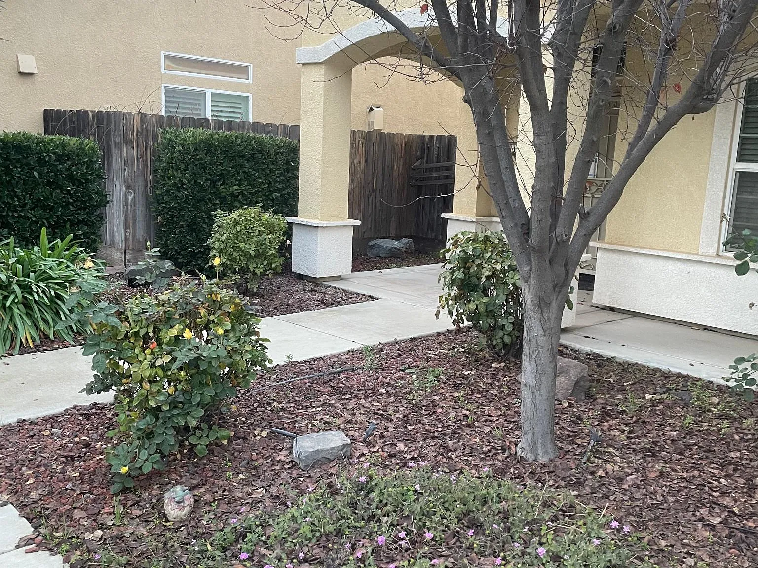 4 bed, 1743 sqft, $3,000 — Photo 3