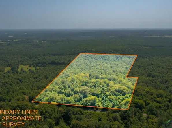 3424 County Road 4114, Hughes Springs, TX 75656