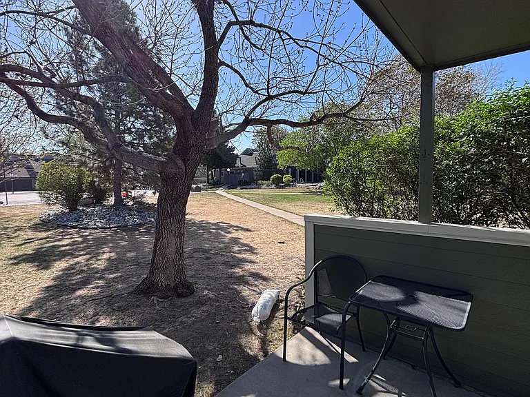540 S Forest St #5-104 — Photo 5