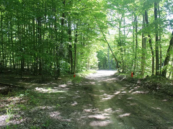 0 Crawford Rd, Ellsworth, MI 49729