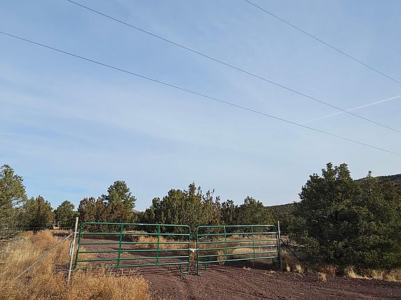 4th image of 247 E Orchid Dr