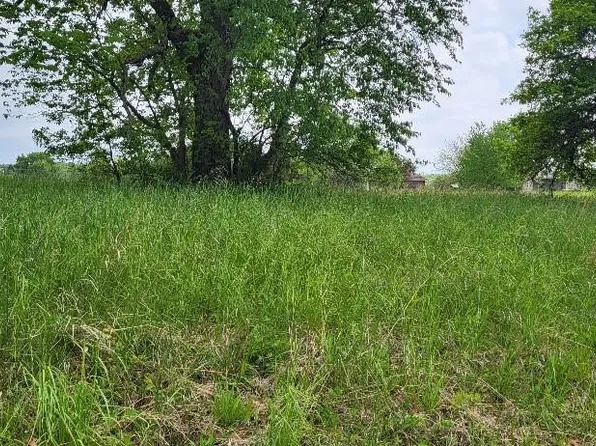 1602 Lake Viking Ter, Altamont, MO 64620