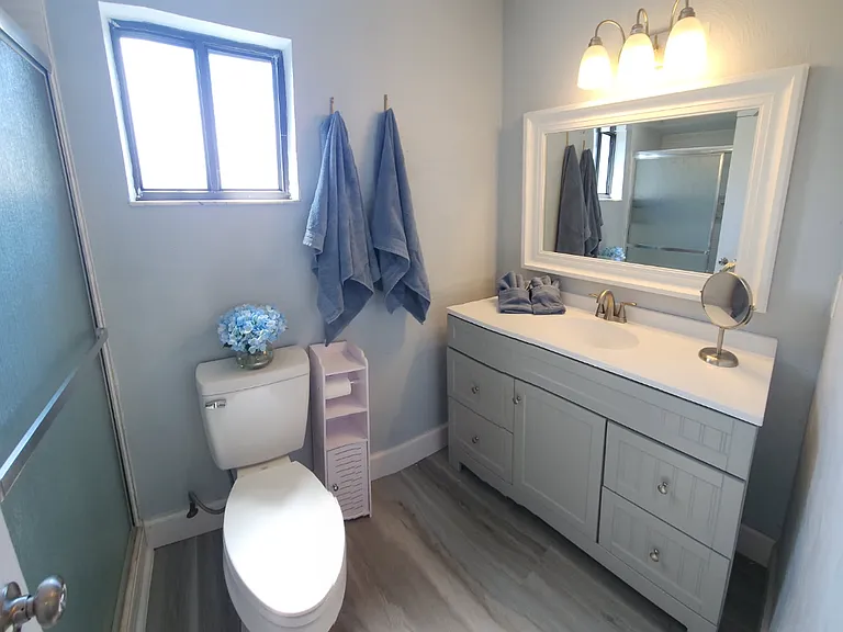 Master bathroom 
Shower is to the left